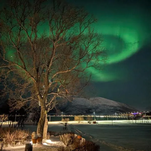 Hammergaarden Kårstua Cozy Arctic Cottage with Panoramic Views Northern Lights and Authentic Experience, hotel in Sortland