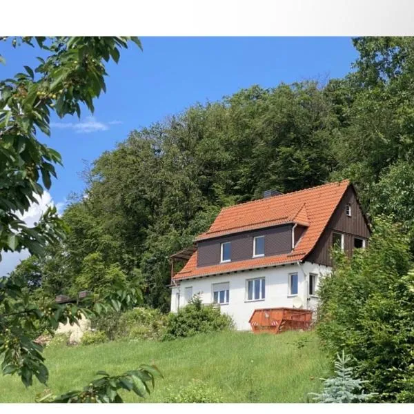 Harztor में, होटल Wunderschönes Haus am Waldrand für max 8 Personen