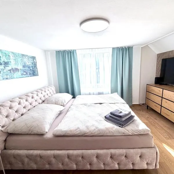 Trewia 9 - Modern Studio Vaduz Center - free Parking، فندق في فادوز