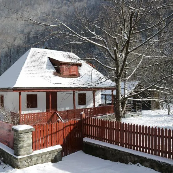 Casuta langa Lotru, Hotel in Voineasa