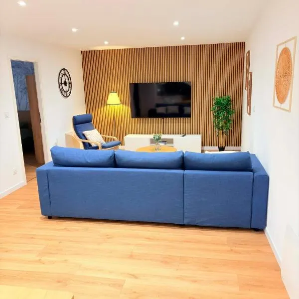 Le Salon des Voyageurs - Dole Historique - Parking Gratuit à proximité, hotel v destinácii Dole