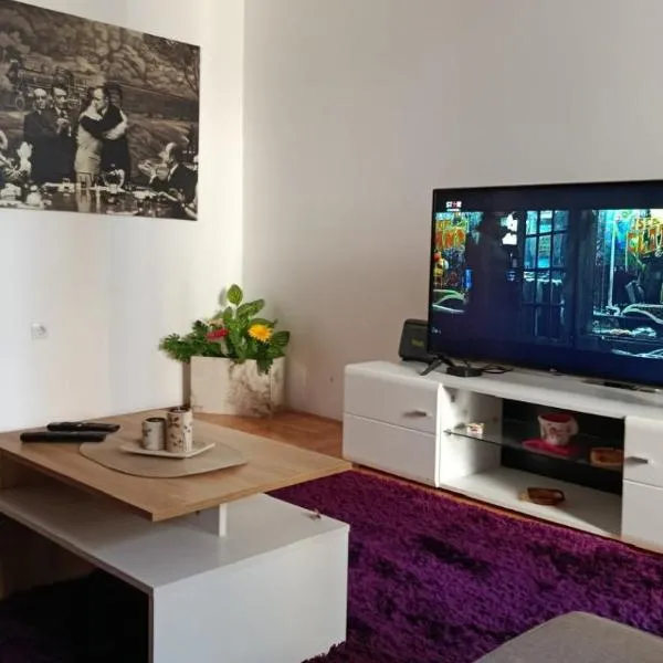 Riviera Apartments, hotel in Niš