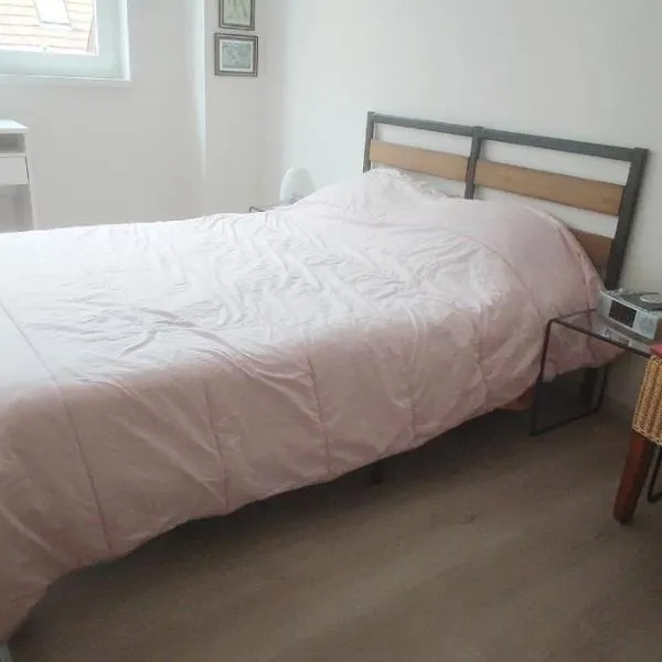 Chambres Strasbourg, hotel in Strasbourg