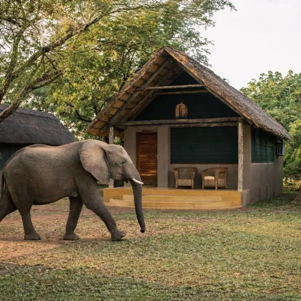 Thornicroft Lodge - South Luangwa, מלון במפנדה