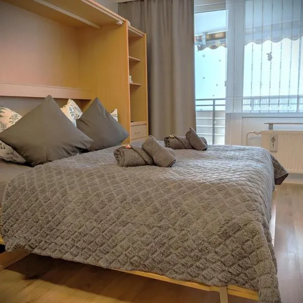 Sylva Apartment, hotel a Sankt Englmar