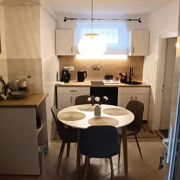 Abádi Pagony vendégház – hotel w Abádszalók