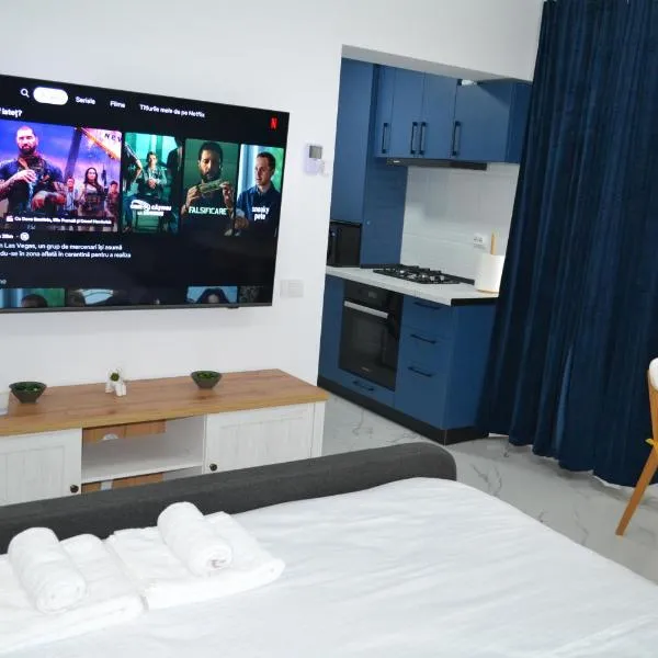 Elena's Studio Central - Home Cinema - Confort Premium, hotell sihtkohas Piteşti