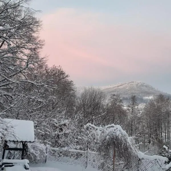 dziupla, hotell i Górki Wielkie
