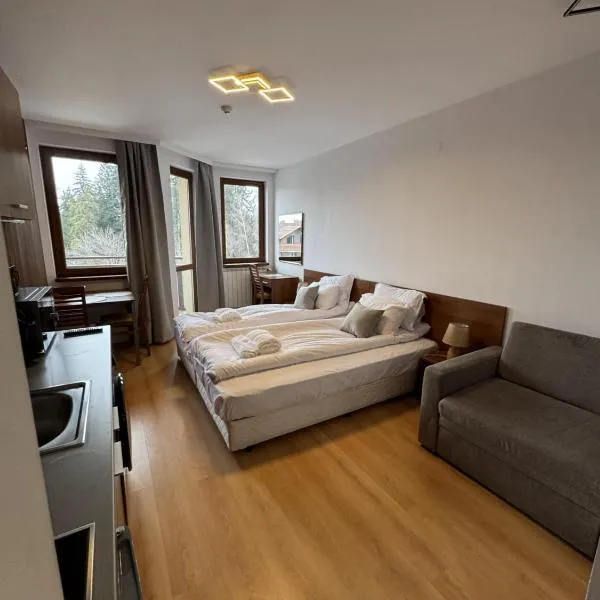 보로베츠에 위치한 호텔 Villa Park Borovets