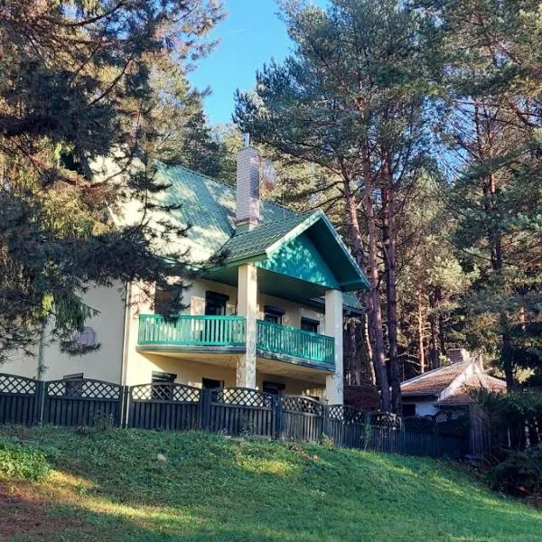 Žaliasis namas - poilsis prie Vištyčio ežero、Varteliaiのホテル