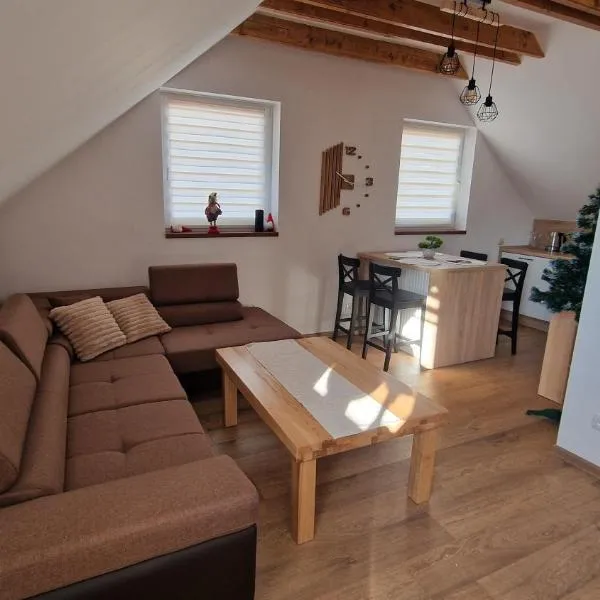 Apartament nr 1 Pod Złotym Groniem, Hotel in Istebna