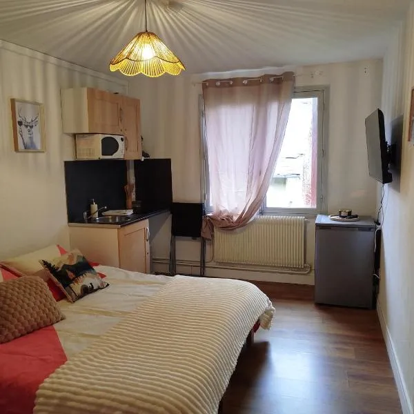 Studio 15 M2 proche Mourtis et Luchon, hotel em Arlos