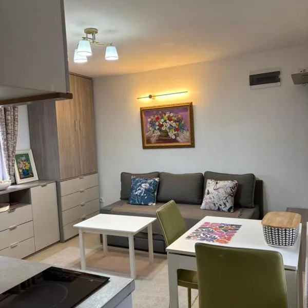 Apartman Lala, hotel v destinaci Nova Varoš
