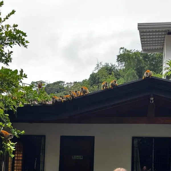 Casa Marisol、ケポスのホテル