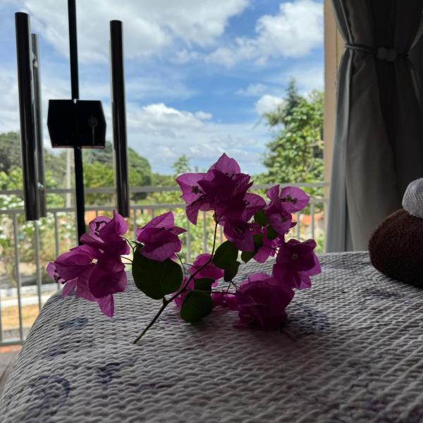 Pousada Buganvília