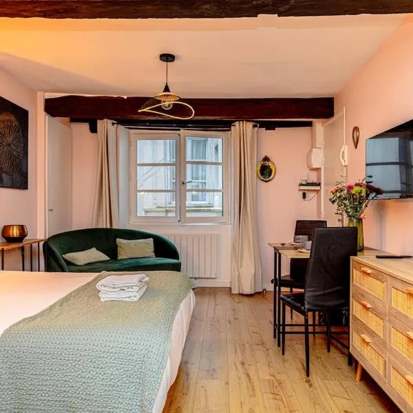 Benoît rose - Suite charmante au cœur d'Orléans, hotel di Orléans