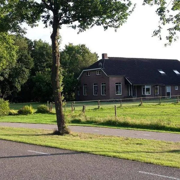 Liroja's Vakantiehuis, hotelli kohteessa Vlagtwedde