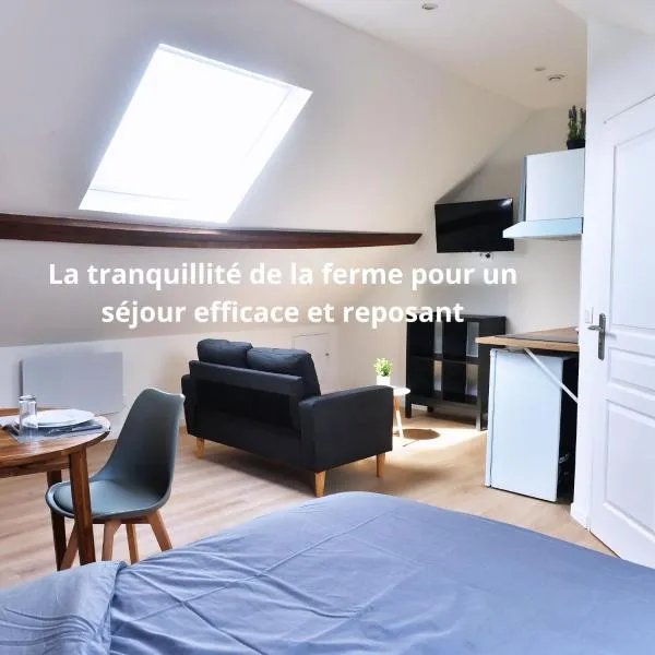 ZenkaSerenity-Ferme paisible Centre CHU-wifi-pro, Hotel in Saint-Quentin