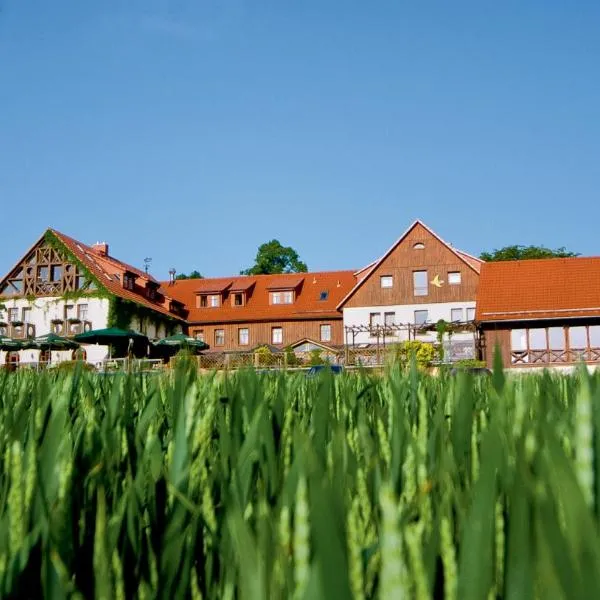 Hotel Neue Höhe, hotel in Niederbobritzsch