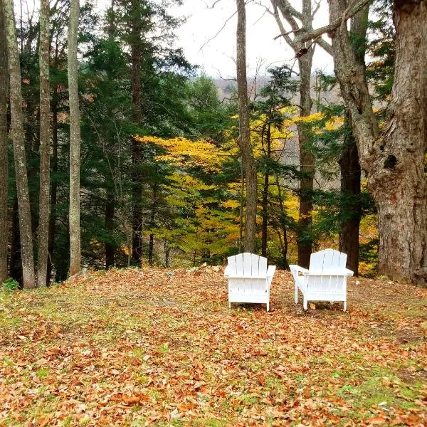 Black Bear Lodge, hotel in Shandaken