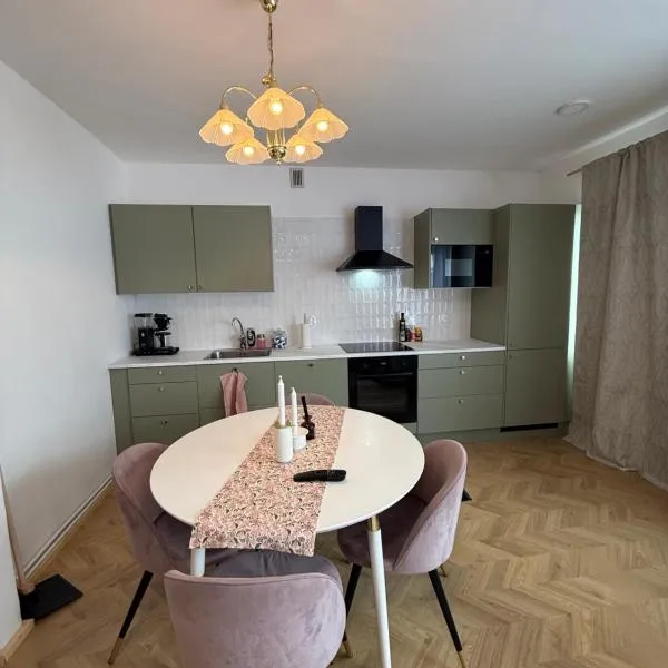 Central Kauppakatu Apartment, отель в Йоэнсуу