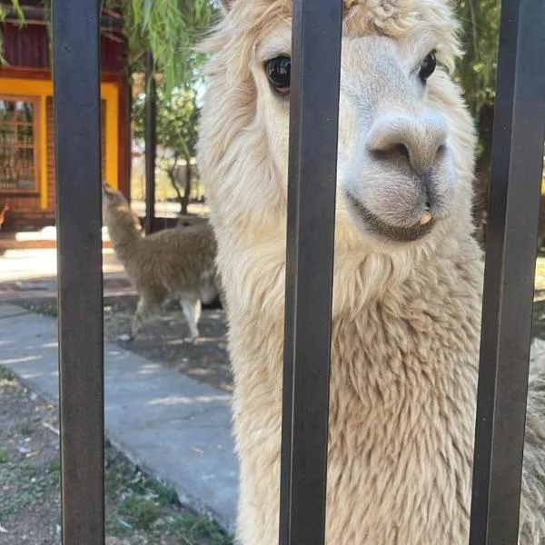 Molina, cerca de 7 Tazas, campo con animales, khách sạn ở Curicó