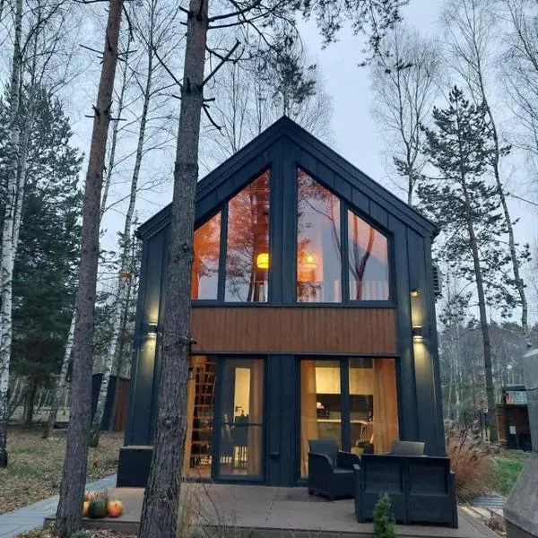 Leśne Domki, готель у місті Życiny