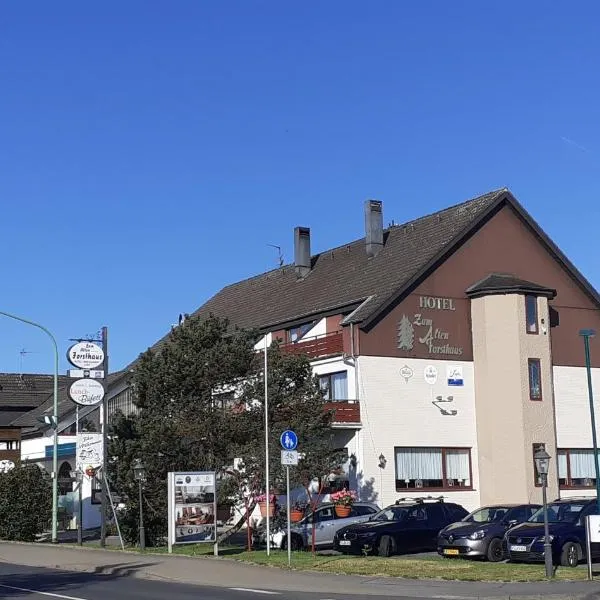 Land-gut-Hotel Zum alten Forsthaus - Aufladestation für Elektroautos, hotel sa Hürtgenwald