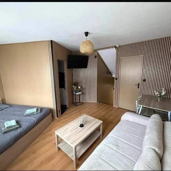 Studio - Chalon-sur-Saône, Hotel in Chalon-sur-Saône
