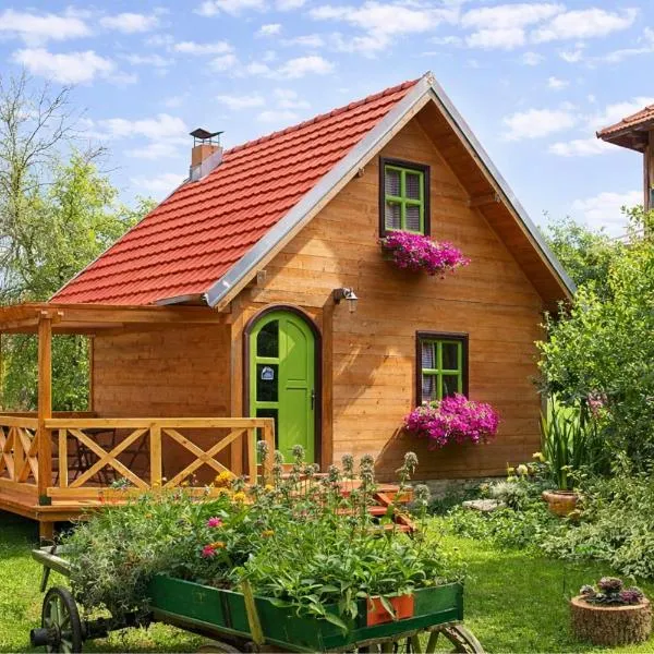 Apartments Vila Selena - Golija, hotelli kohteessa Rudno