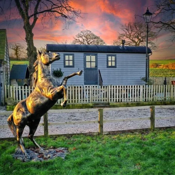 Owls Retreat, Meadowview House, hotel u gradu Stouk na Trentu