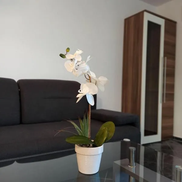 Aviva SONNENWINKEL - Ebenerdiges Juwel mit privater Gartenterrasse, Hotel in Bodman-Ludwigshafen
