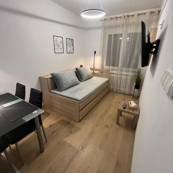 Apartmán Ella - Riegrova 41, Hotel in Děčín