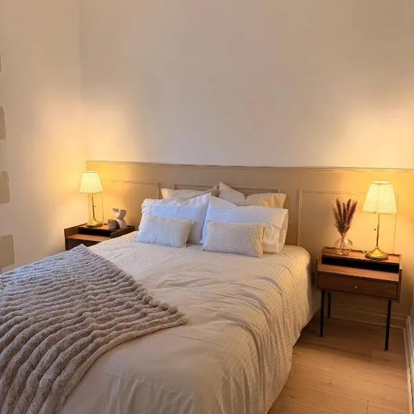 Appartement Jazz - Hyper Centre Vienne - Garage、ヴィエンヌのホテル