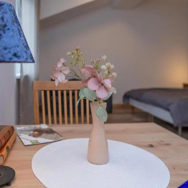 Velora apartments, hotelli kohteessa Subotica