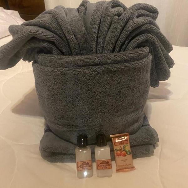 Chalé Romantico com SPA e Piscina PRIVATIVO - Foto 3