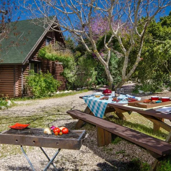The Scandinavian Village-Teva BaHar, hotel v destinaci H̱aluẕ