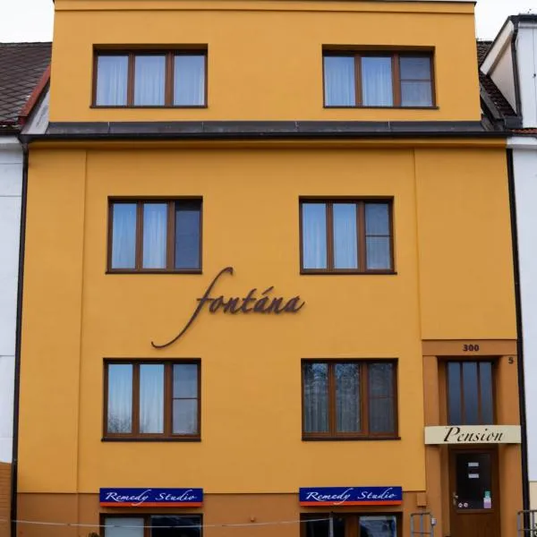 Pension Fontana، فندق في بودبرادي