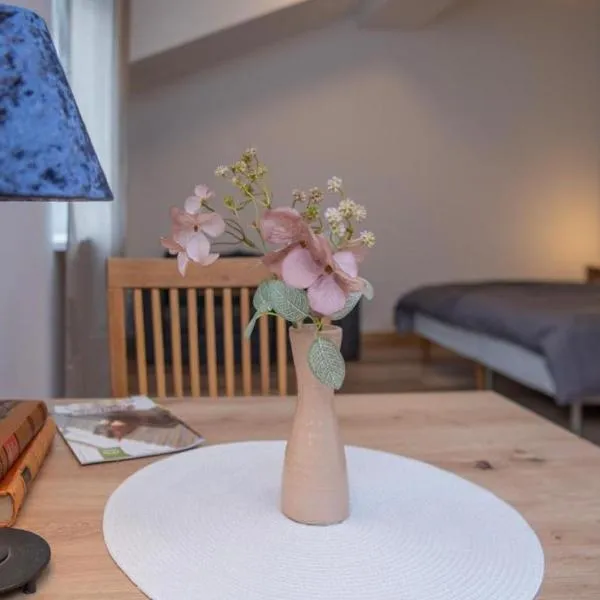 Velora apartments, hôtel à Subotica