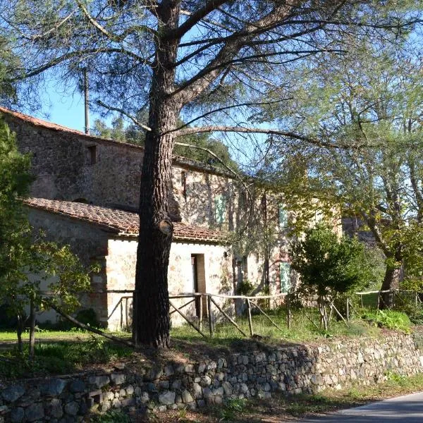 LA GRANCIA DEL SANTO, Hotel in Monticiano