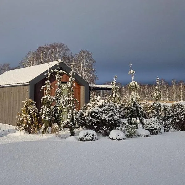 Berzkrasti Lake House with Private Sauna & Beach, hotel v destinácii Sigulda