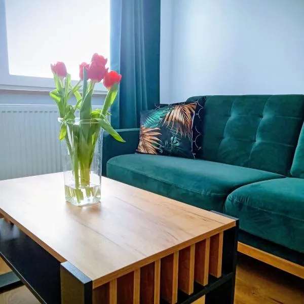 Apartment Moderna, хотел в Kostuchna