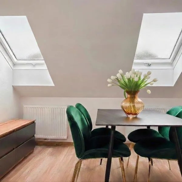 Family Apartments Zemlinsi 2，派爾巴赫的飯店