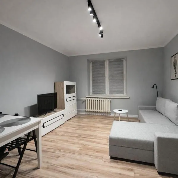 Apartament Centrum, hotel in Płock