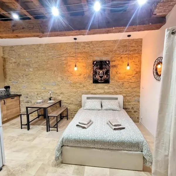 Le Petit Cocon Cozy studio proche de Lyon, hotel in Couzon-au-Mont-dʼOr