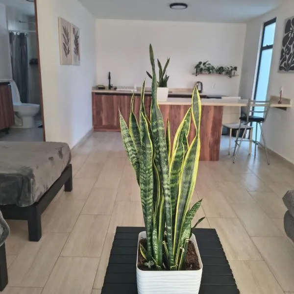 Santa Rosa de Jáuregui में, होटल Estudio Lavanda