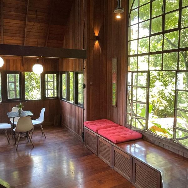 Cabana na mata