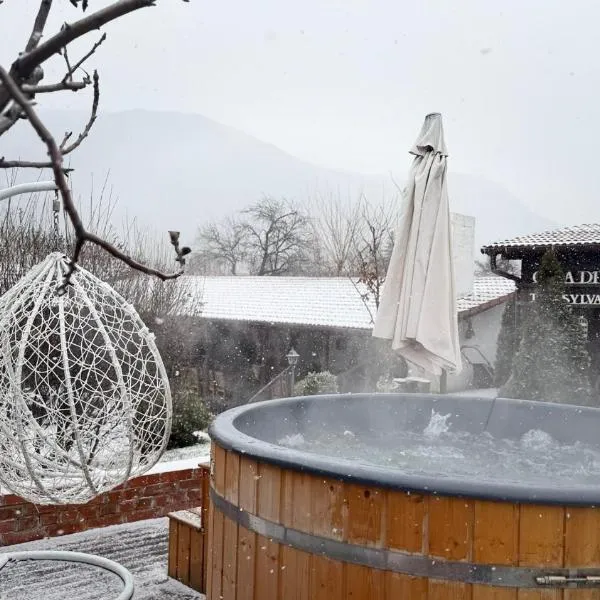 Casa Dives - Transylvania, hotel di Pianu de Sus