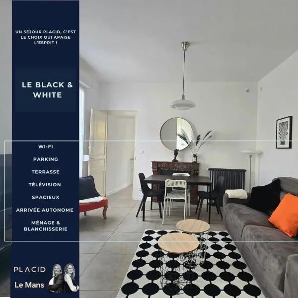 Le B & W - parking - terrasse - Wifi - spacieux, hotel i Le Mans