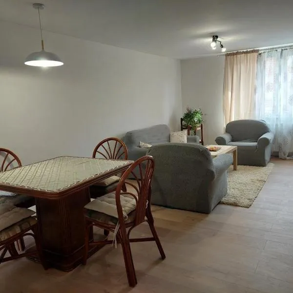 Srna apartmani, hôtel à Čačak